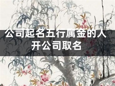 公司起名五行属金的人开公司取名