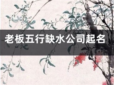 老板五行缺水公司起名
