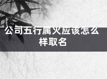 公司五行属火应该怎么样取名