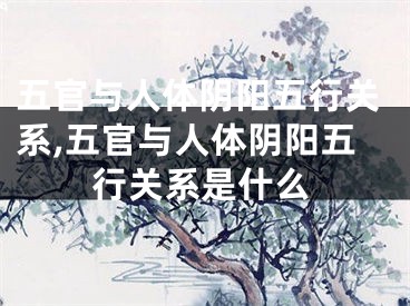五官与人体阴阳五行关系,五官与人体阴阳五行关系是什么