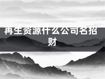 再生资源什么公司名招财