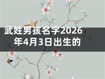 武姓男孩名字2026年4月3日出生的