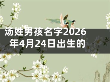 汤姓男孩名字2026年4月24日出生的