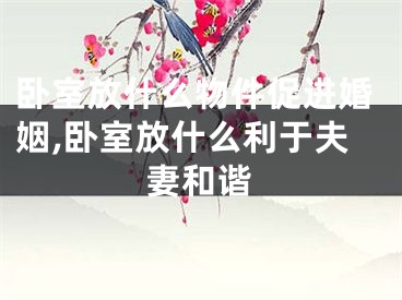 卧室放什么物件促进婚姻,卧室放什么利于夫妻和谐