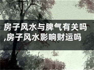 房子风水与脾气有关吗,房子风水影响财运吗