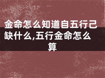 金命怎么知道自五行己缺什么,五行金命怎么算