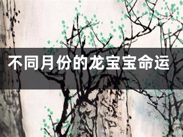 不同月份的龙宝宝命运