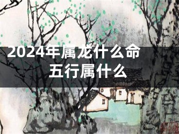 2024年属龙什么命五行属什么