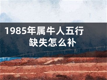 1985年属牛人五行缺失怎么补