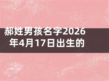郝姓男孩名字2026年4月17日出生的