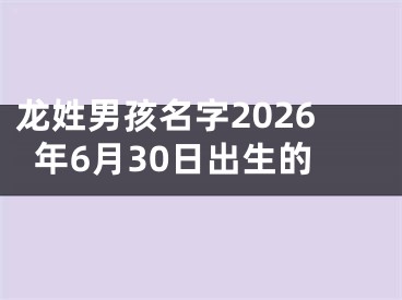 龙姓男孩名字2026年6月30日出生的