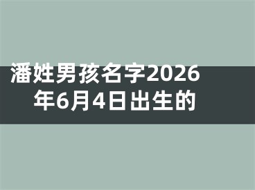 潘姓男孩名字2026年6月4日出生的