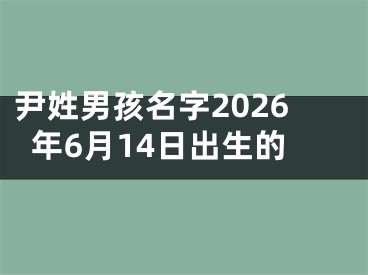 尹姓男孩名字2026年6月14日出生的
