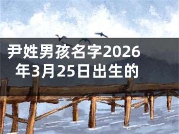 尹姓男孩名字2026年3月25日出生的