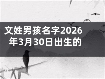 文姓男孩名字2026年3月30日出生的