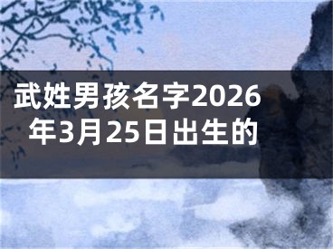 武姓男孩名字2026年3月25日出生的