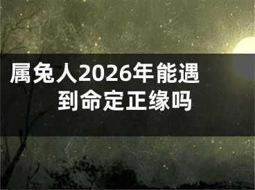 属兔人2026年能遇到命定正缘吗