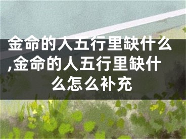 金命的人五行里缺什么,金命的人五行里缺什么怎么补充