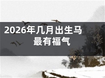 2026年几月出生马最有福气