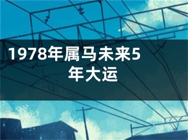 1978年属马未来5年大运