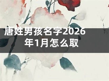 唐姓男孩名字2026年1月怎么取