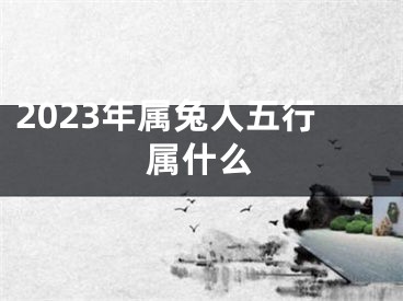 2023年属兔人五行属什么