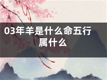 03年羊是什么命五行属什么