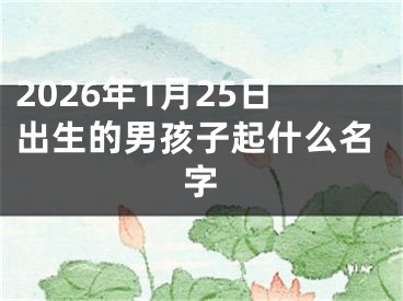 2026年1月25日出生的男孩子起什么名字