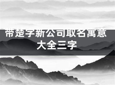 带楚字新公司取名寓意大全三字