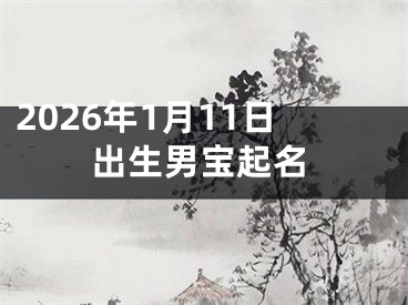 2026年1月11日出生男宝起名