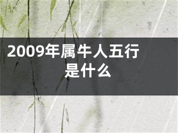 2009年属牛人五行是什么