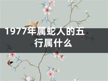 1977年属蛇人的五行属什么