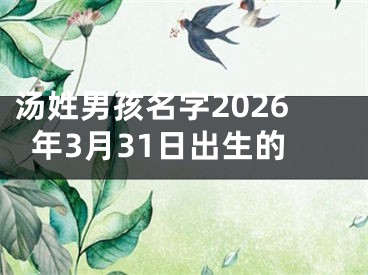汤姓男孩名字2026年3月31日出生的