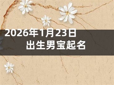 2026年1月23日出生男宝起名