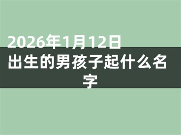 2026年1月12日出生的男孩子起什么名字