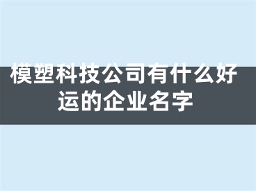 模塑科技公司有什么好运的企业名字