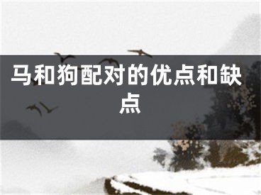 马和狗配对的优点和缺点