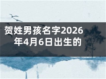 贺姓男孩名字2026年4月6日出生的