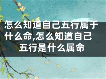 怎么知道自己五行属于什么命,怎么知道自己五行是什么属命