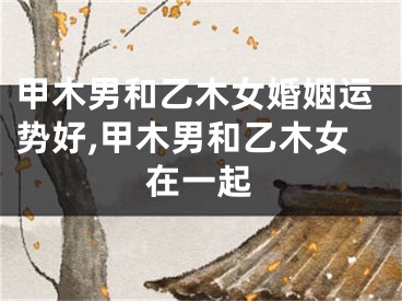 甲木男和乙木女婚姻运势好,甲木男和乙木女在一起