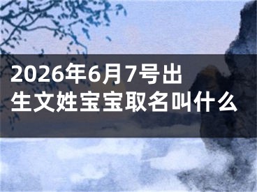 2026年6月7号出生文姓宝宝取名叫什么