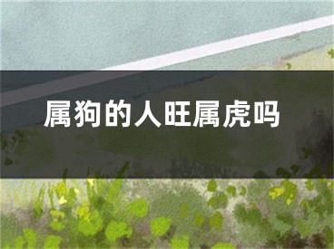 属狗的人旺属虎吗