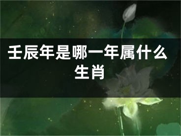 壬辰年是哪一年属什么生肖