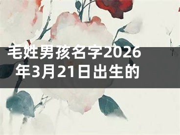 毛姓男孩名字2026年3月21日出生的