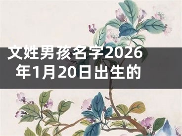 文姓男孩名字2026年1月20日出生的