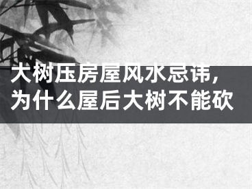 大树压房屋风水忌讳,为什么屋后大树不能砍