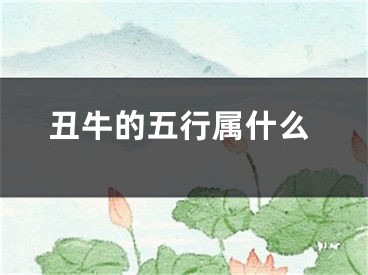 丑牛的五行属什么
