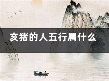 亥猪的人五行属什么