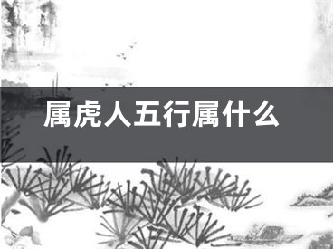 属虎人五行属什么