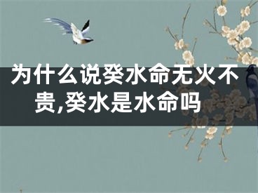 为什么说癸水命无火不贵,癸水是水命吗